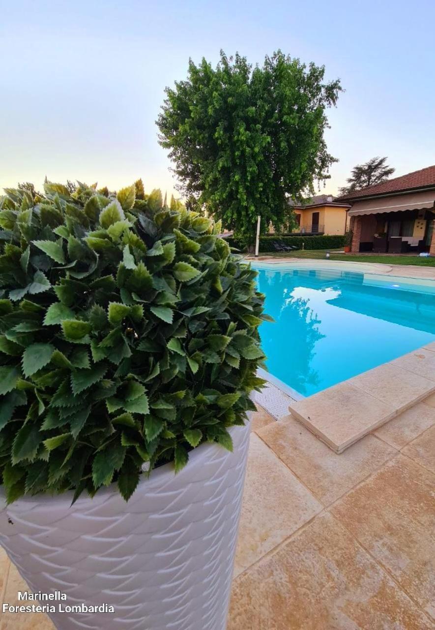 Marinella B&B Cornale Dış mekan fotoğraf
