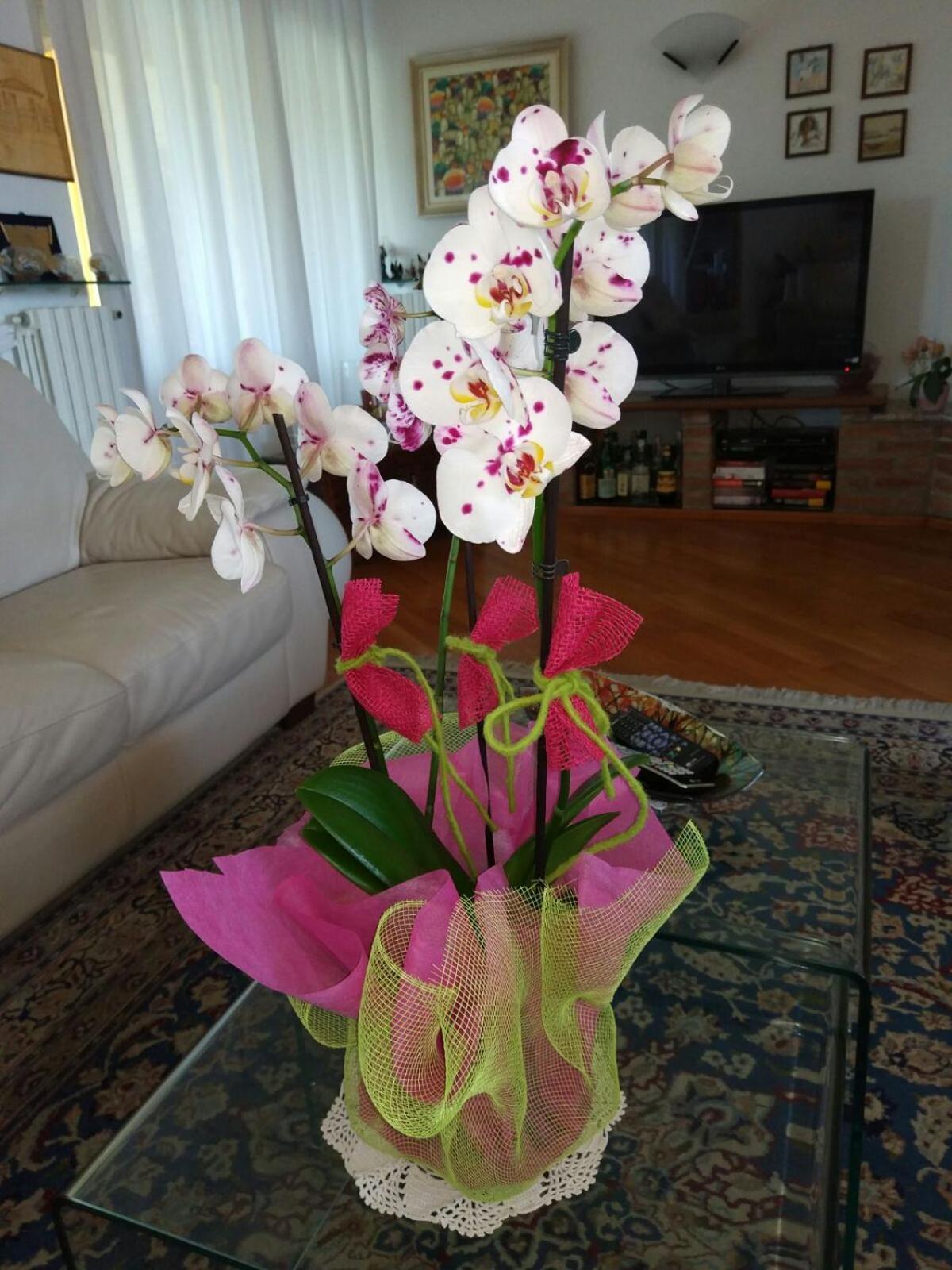 Marinella B&B Cornale Dış mekan fotoğraf