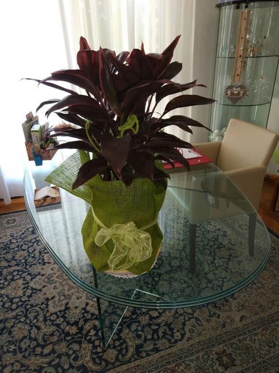 Marinella B&B Cornale Dış mekan fotoğraf
